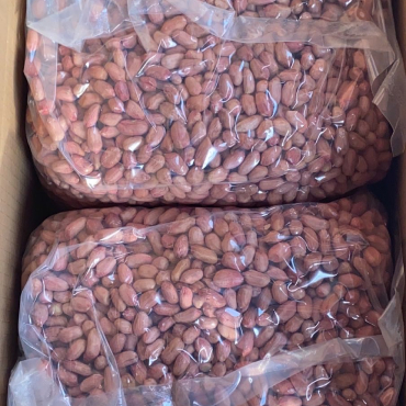 Peanut Kernels Packing